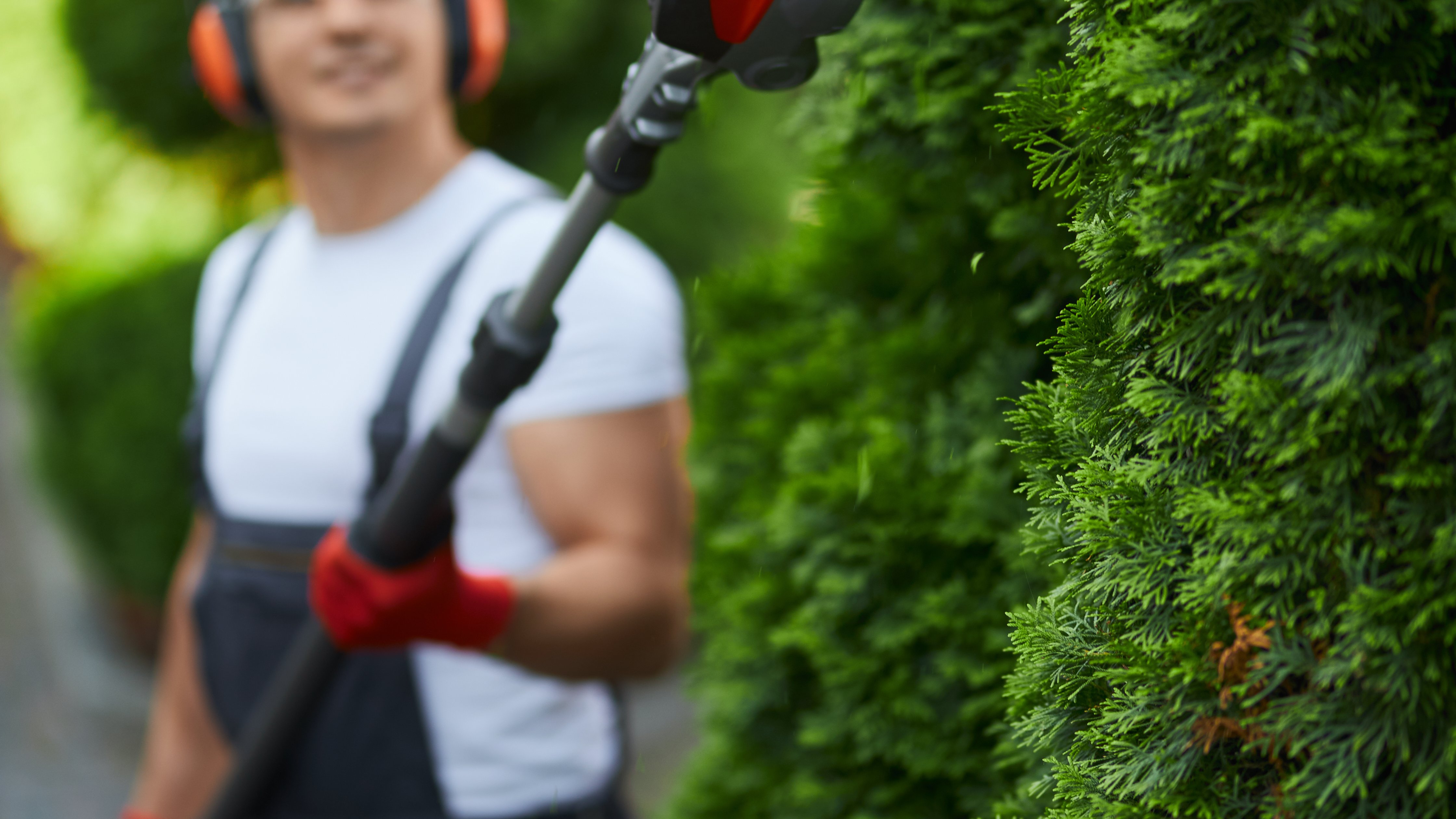 Mitarbeiter schneidet mit einer Heckenschere eine Hecke