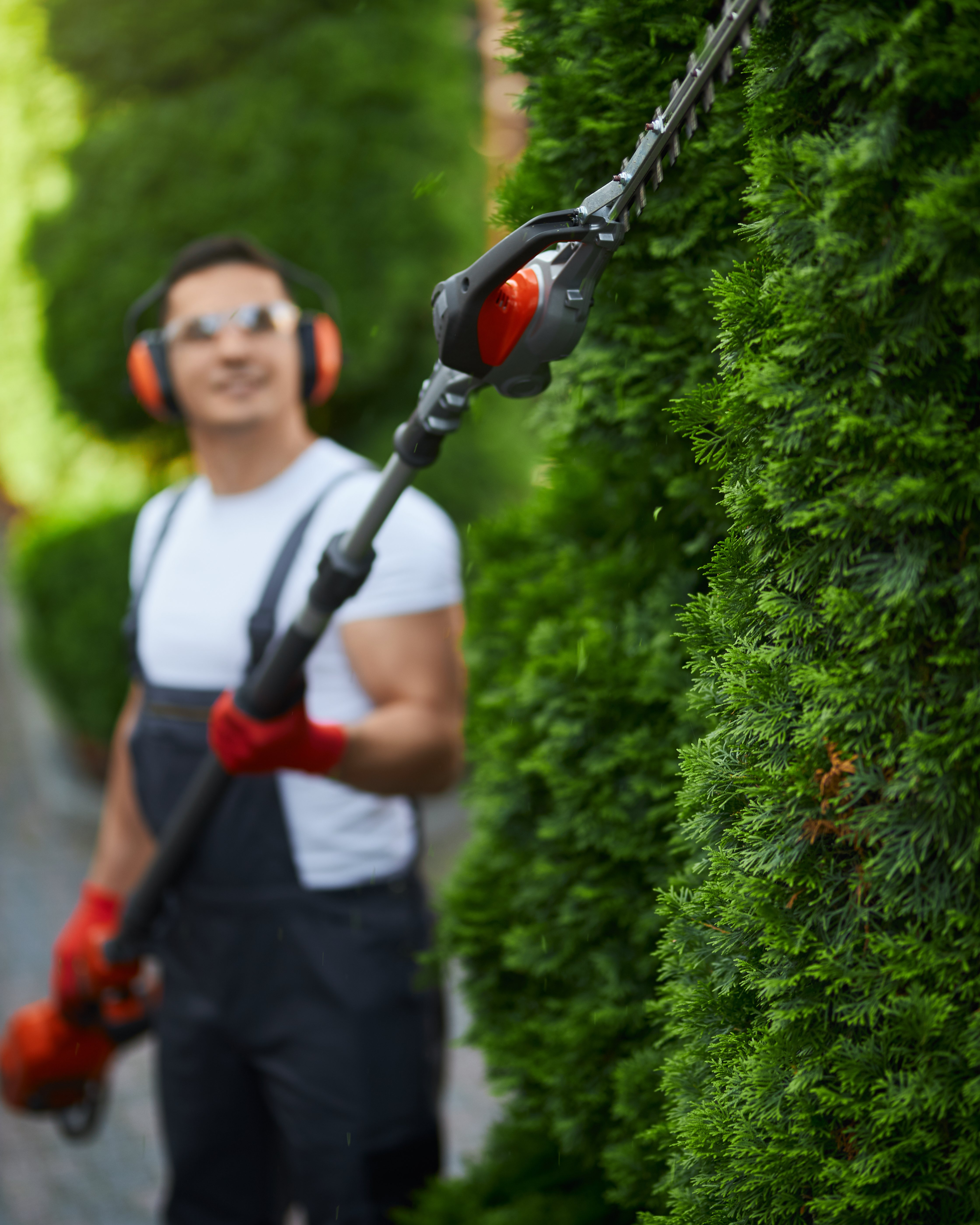 Mitarbeiter schneidet mit einer Heckenschere eine Hecke